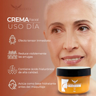 Crema anti Edad de noche